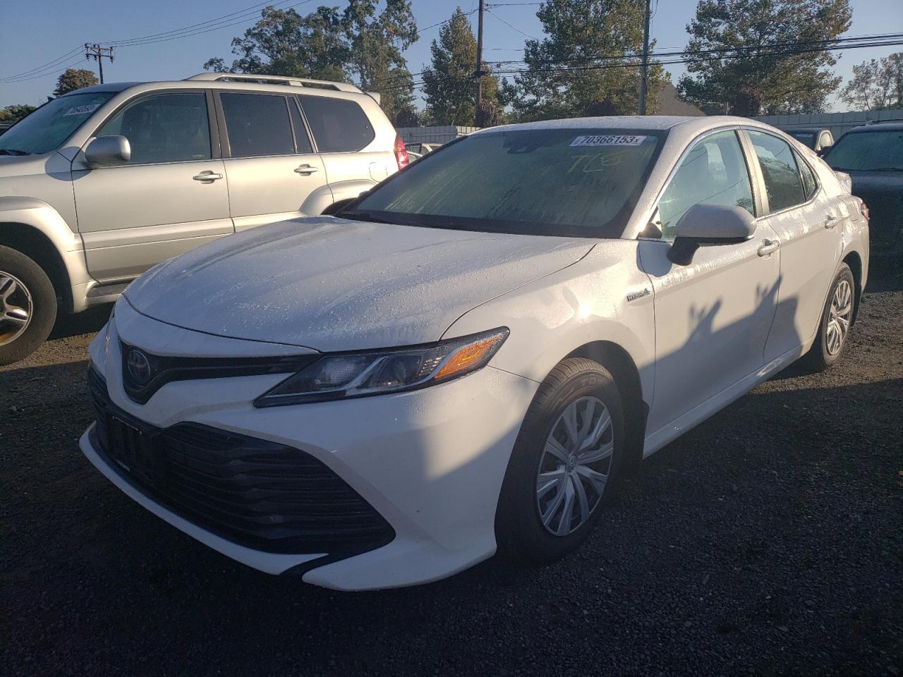 4T1C31AK9LU540806 TOYOTA CAMRY 2020