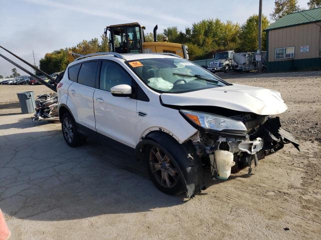 Vin: 1fmcu0jx1eua03725, lot: 73099173, ford escape titanium 20144