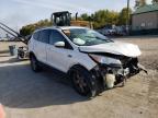Lot #2185429795 2014 FORD ESCAPE TIT