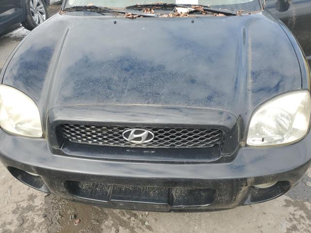 KM8SC13D33U422289 2003 Hyundai Santa Fe Gls