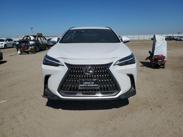 2024 LEXUS NX 250 BAS JTJADCAZ6R5013811