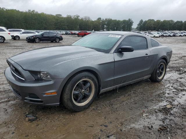 2013 Ford Mustang 