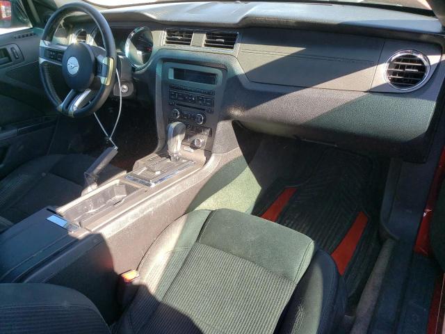 1ZVBP8AM2E5233812 2014 Ford Mustang