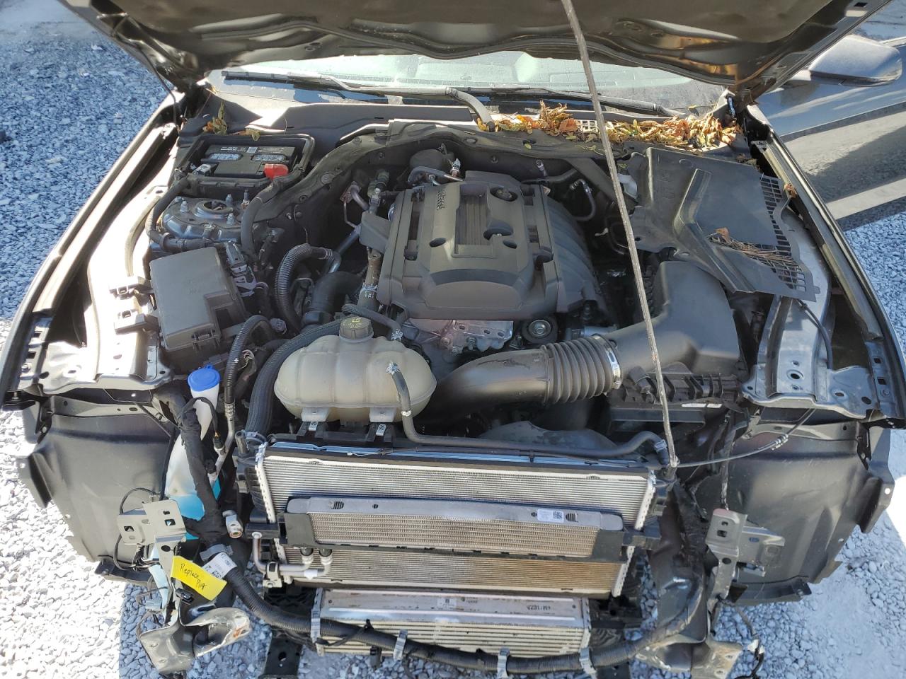 1FATP8UH5L5157687 FORD ALL Models 2020