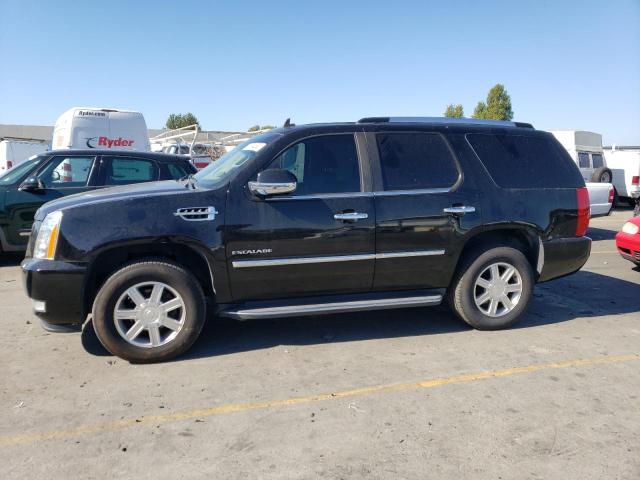 2010 Cadillac Escalade 