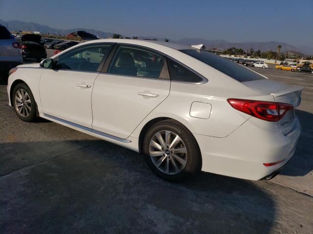 5NPE34AF0FH243245 | 2015 HYUNDAI SONATA SPO