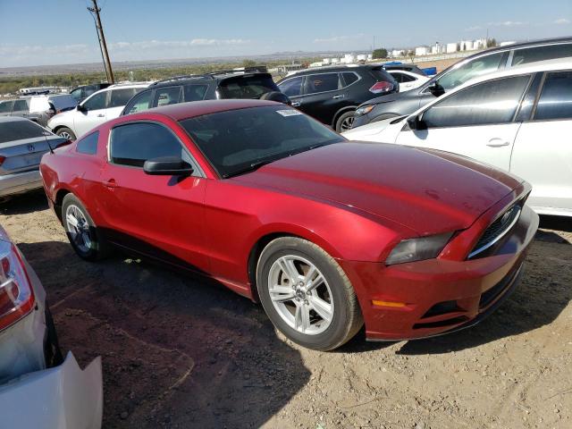 1ZVBP8AM2E5233812 2014 Ford Mustang