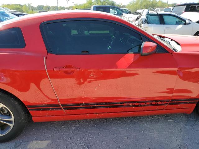 1ZVBP8AM8E5264983 Ford MUSTANG