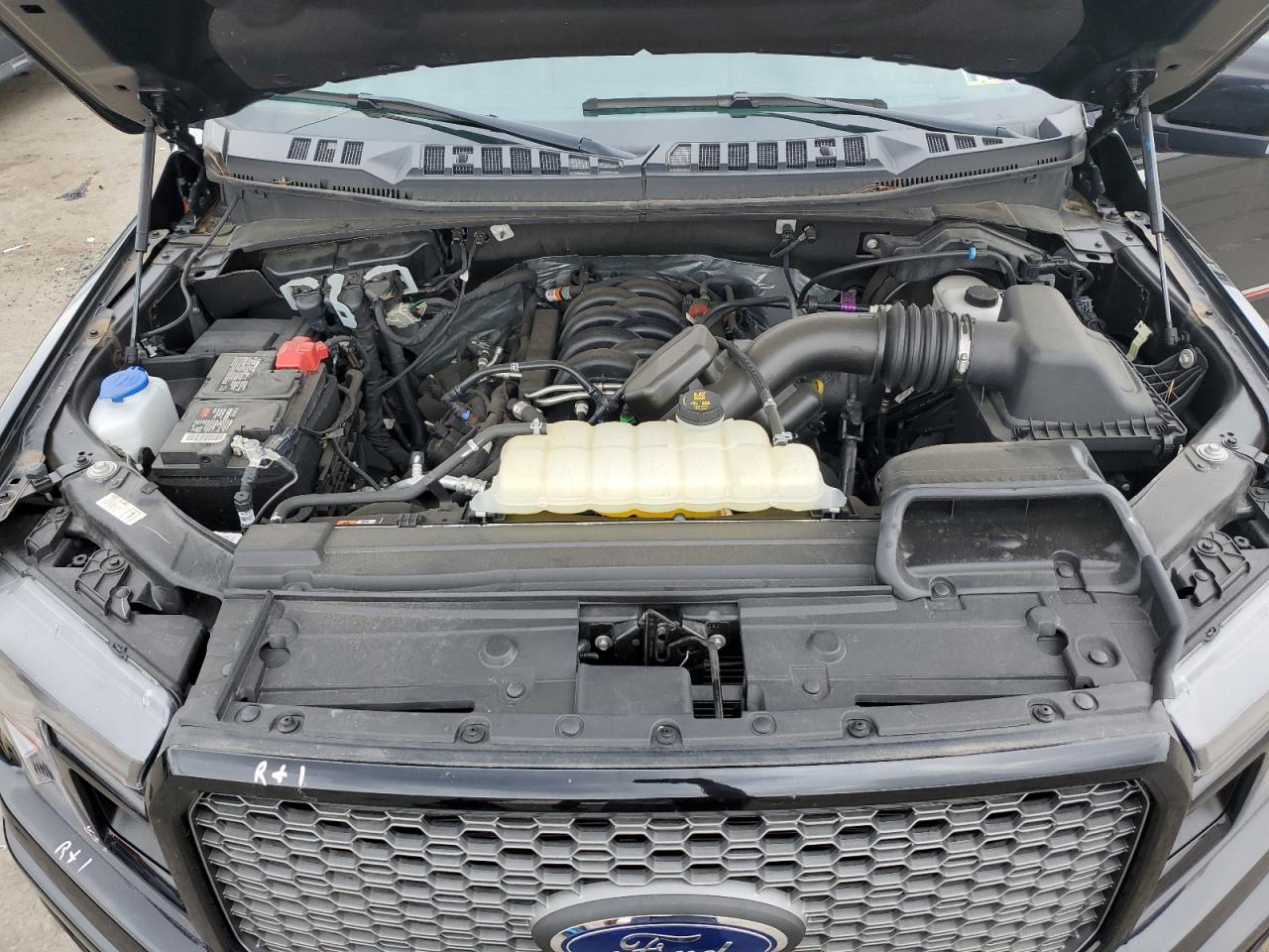 1FTFW1E56LFB74725 FORD F-150 2020