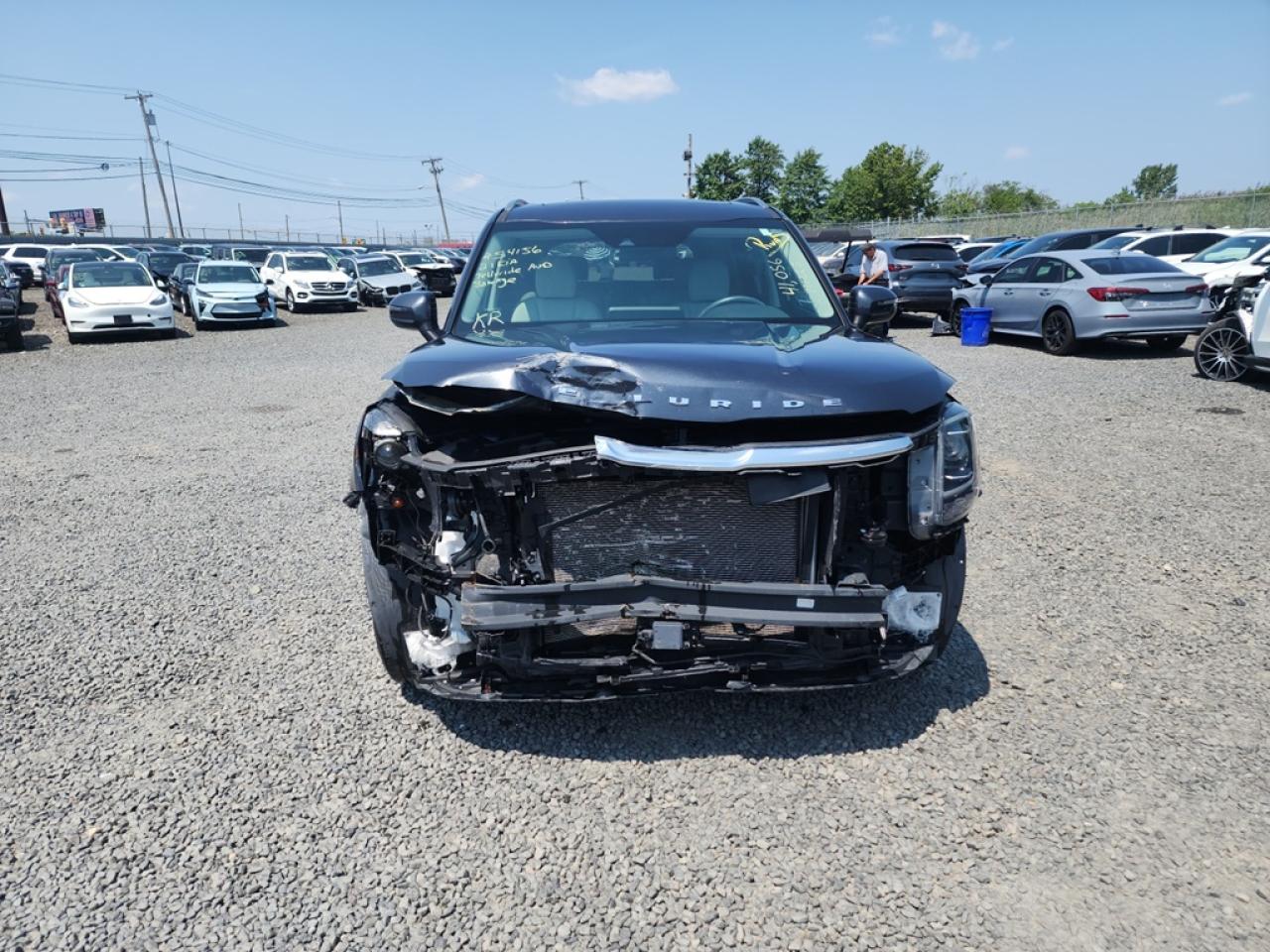 Lot #2167823367 2021 KIA TELLURIDE