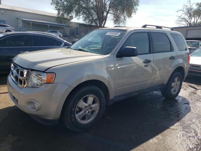 2009 Ford Escape XLT