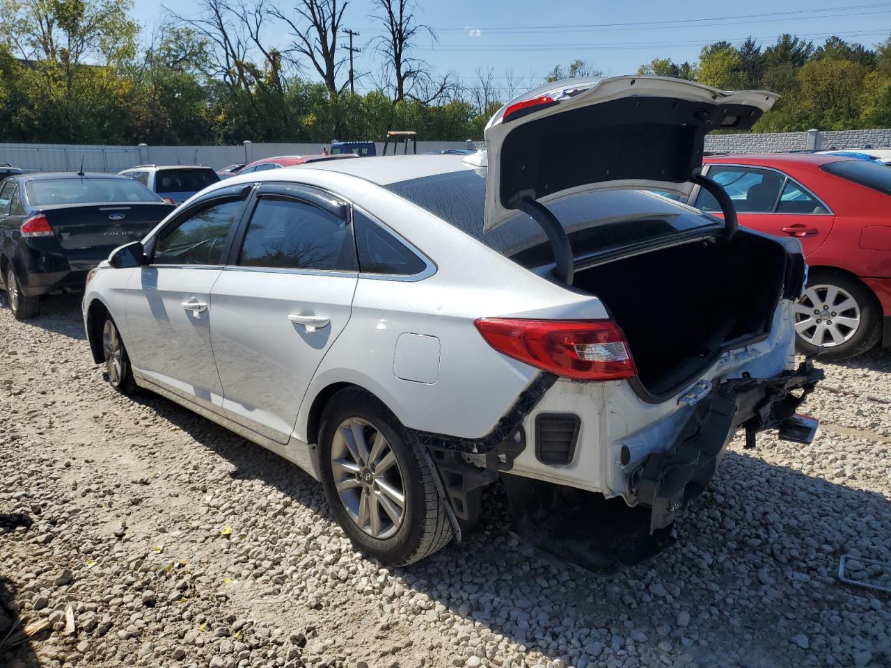 2016 Hyundai Sonata Se vin: 5NPE24AF5GH377513