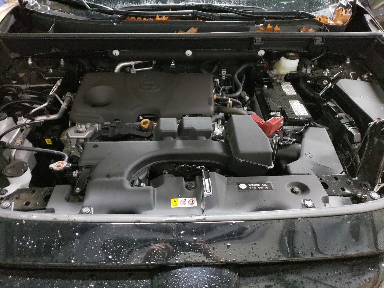 2T3P1RFV2PW385215 TOYOTA RAV4 2023