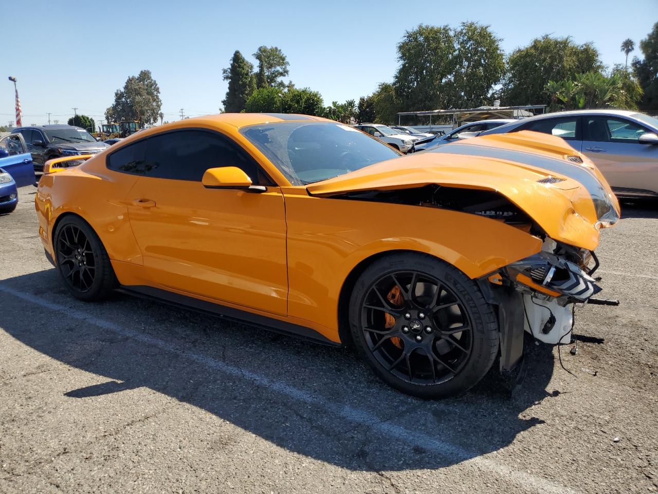 1FA6P8TH1K5202816 FORD ALL Models 2019