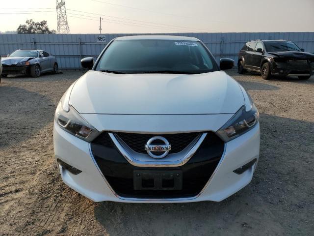 1N4AA6AP5HC367881 Nissan Maxima 3.5s