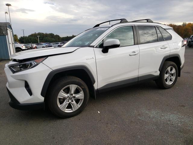 2019 TOYOTA RAV4 XLE for Sale | CT - HARTFORD SPRINGFIELD | Thu. Nov 30 ...