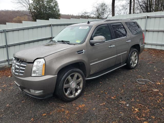 2011 Cadillac Escalade Luxury