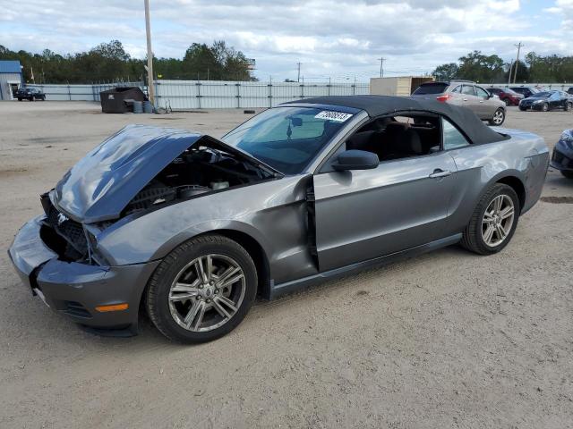 2010 Ford Mustang 