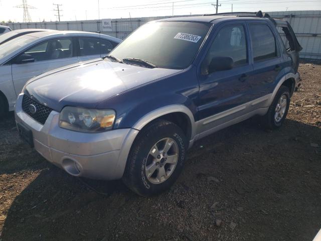 2007 Ford Escape XLT