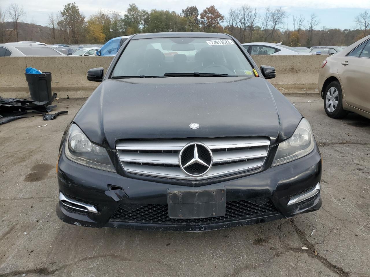 wddgf8bb2cr199343 WDDGF8BB2CR199343 2012 Mercedes-Benz C 300 4Matic