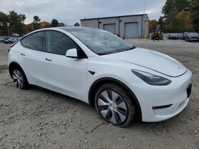 7SAYGDEE4PF837455 | 2023 TESLA MODEL Y