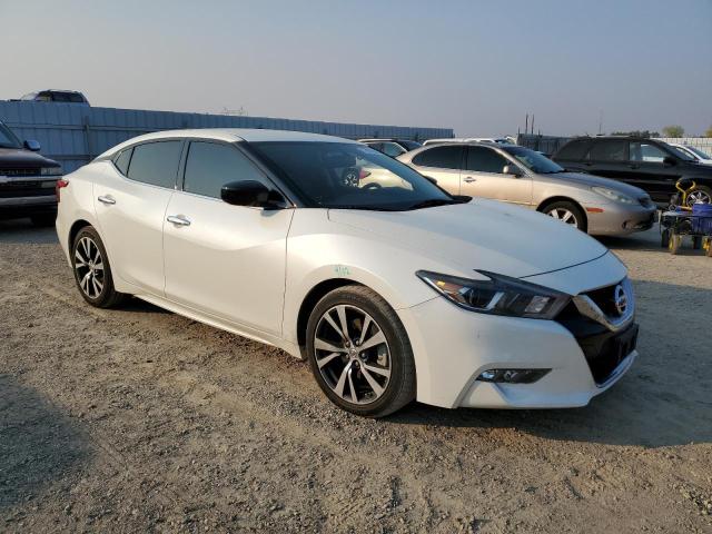 1N4AA6AP5HC367881 Nissan Maxima 3.5s