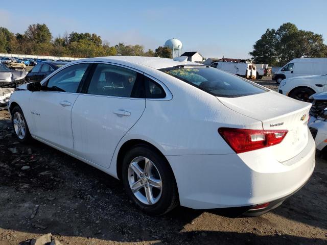  CHEVROLET MALIBU 2023 Білий