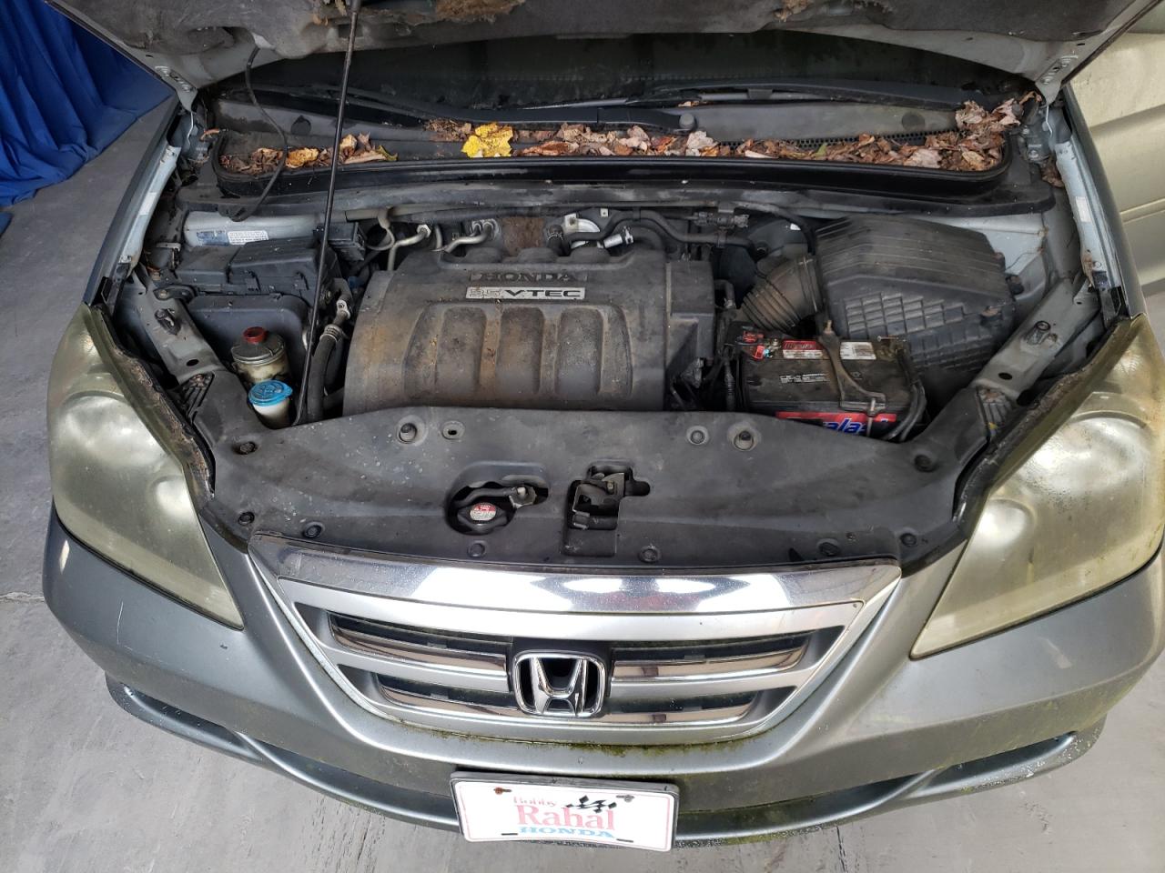 5FNRL38435B042243 2005 Honda Odyssey Ex