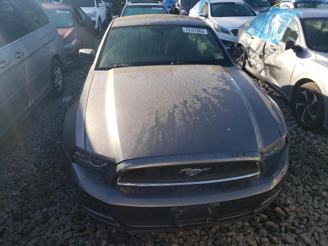 1ZVBP8AM3E5209051 Ford MUSTANG