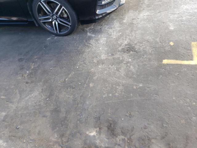 1HGCR2F59HA223243 Honda Accord Sport