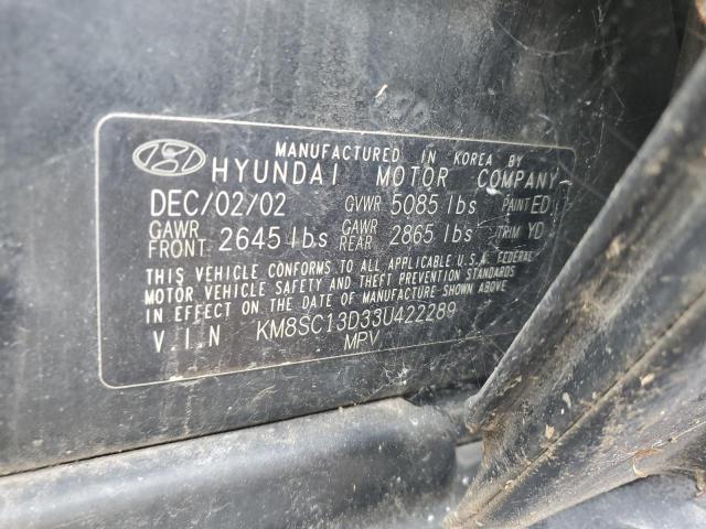 KM8SC13D33U422289 2003 Hyundai Santa Fe Gls