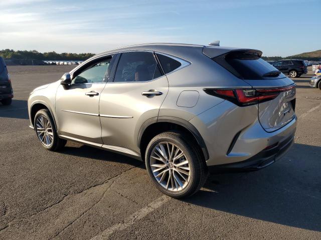2024 LEXUS NX 350 LUX 2T2HGCEZ5RC040113