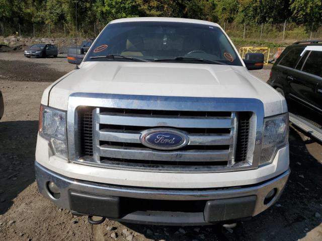 1FTFW1EF4BFD20563 | 2011 Ford f150 supercrew