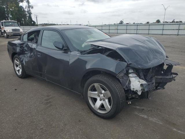 2019 DODGE CHARGER PO - 2C3CDXAT2KH568322