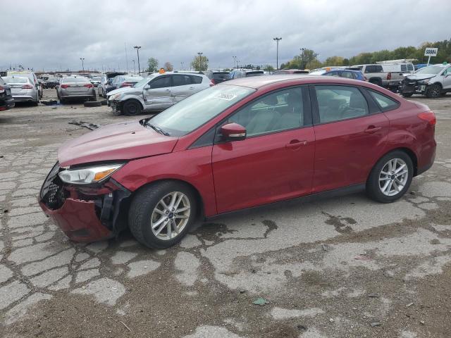  FORD FOCUS 2016 Червоний