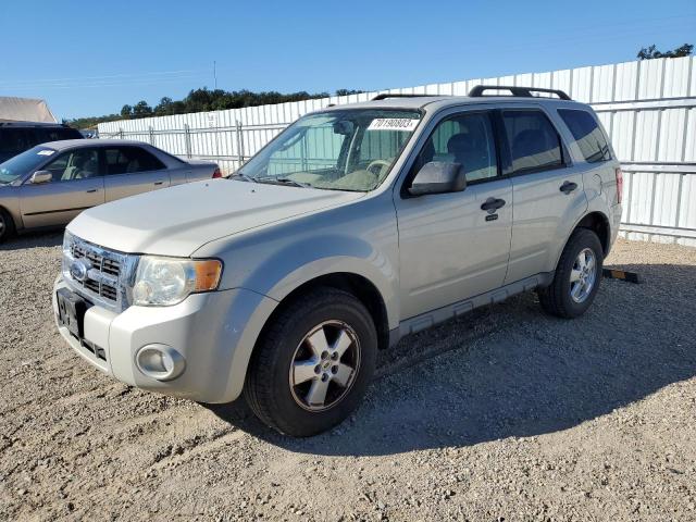 2009 Ford Escape XLT