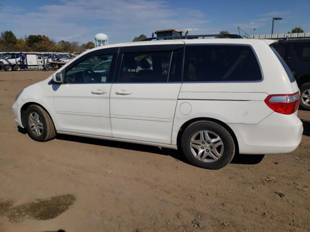 5FNRL38645B022424 | 2005 Honda odyssey exl