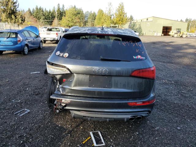 WA1CGAFPXFA077460 2015 AUDI SQ5, photo no. 6