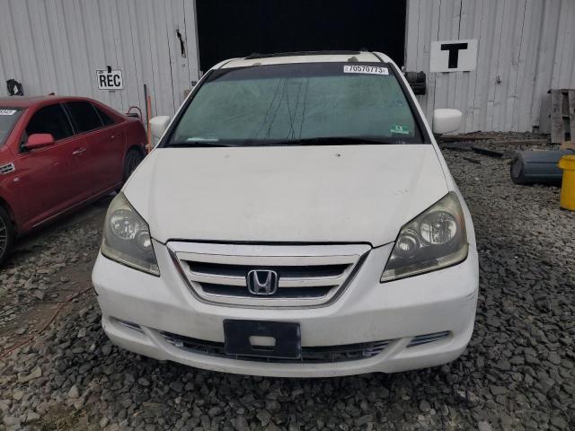 2007 Honda Odyssey Exl VIN: 5FNRL38717B430343 Lot: 70570773