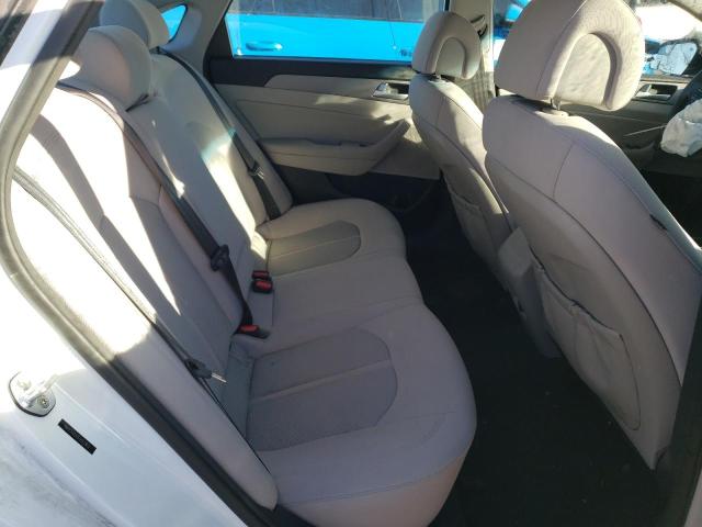 5NPE24AA0FH162902 Hyundai SONATA ECO