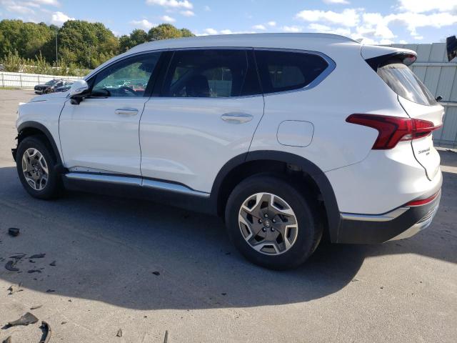 2021 HYUNDAI SANTA FE B KM8S2DA15MU007506