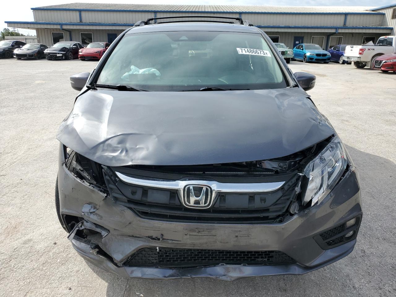 VIN: 5FNRL6H76KB090052 2019 HONDA All Models