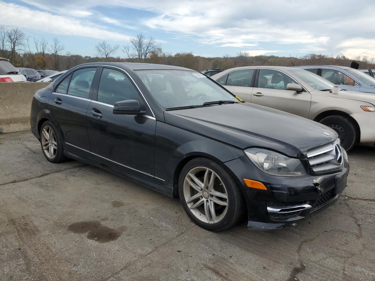 wddgf8bb2cr199343 WDDGF8BB2CR199343 2012 Mercedes-Benz C 300 4Matic