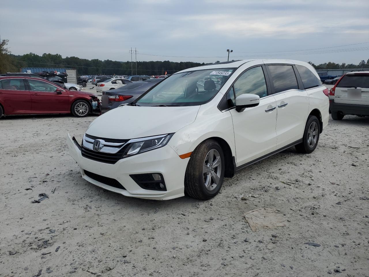 5FNRL6H78KB072586 HONDA All Models 2019