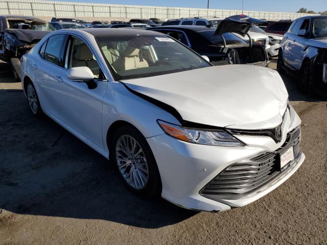 2020 TOYOTA CAMRY XLE - 4T1F11AKXLU340147