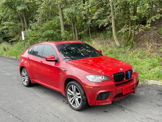 2011 BMW X6 M 