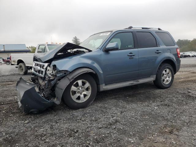 2011 Ford Escape Limited