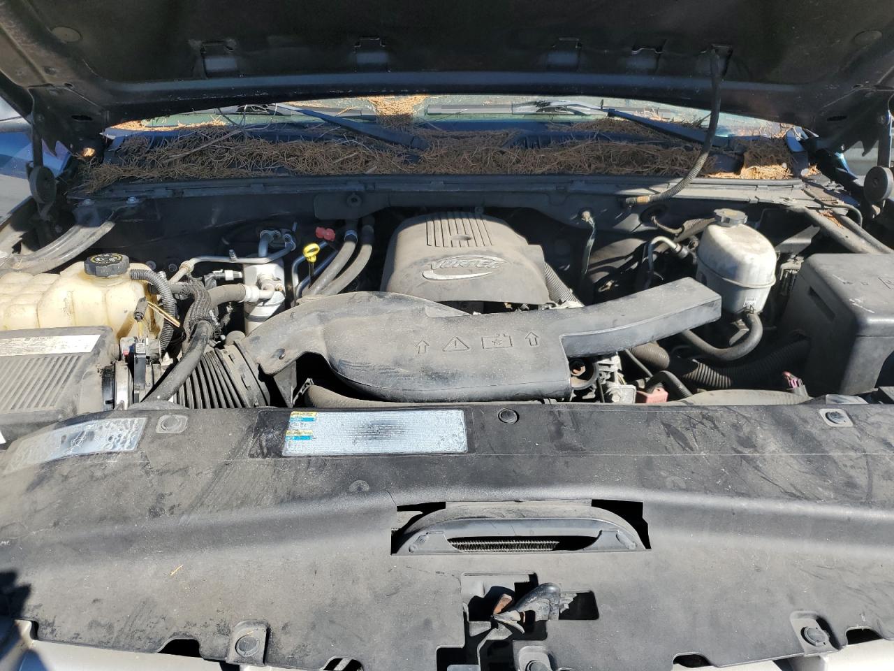 1gyec63t25r117551 1GYEC63T25R117551 2005 Cadillac Escalade Luxury