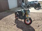 Lot #2936238881 2023 KAWASAKI BR125 J