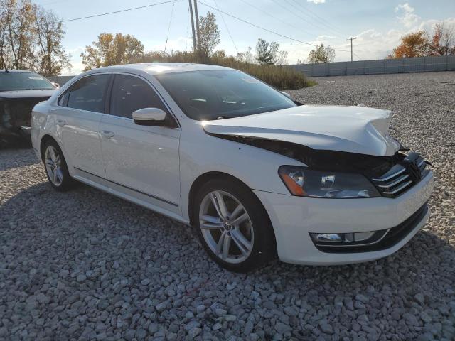 2013 Volkswagen Passat Sel VIN: 1VWCN7A3XDC111155 Lot: 73570633